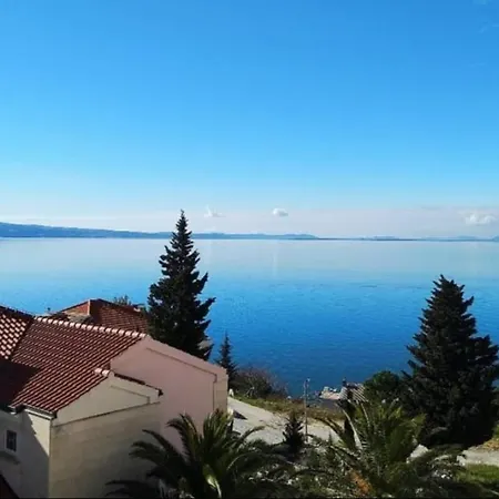 Sunny Blue *